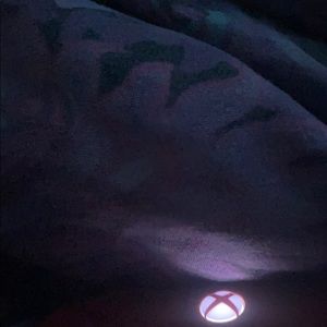 Meet your Posher, Marley